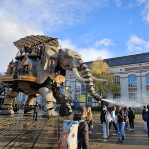 IMG-20251204-WA0004